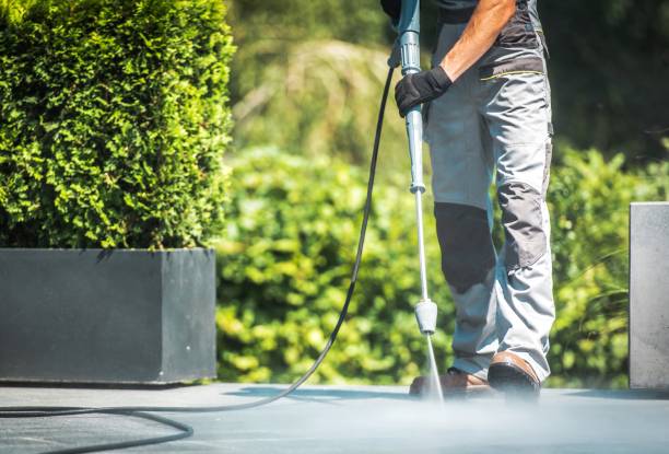 Best Roof Washing  in Bonifay, FL