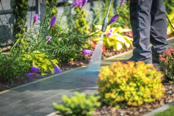  Bonifay, FL Pressure Washing Pros