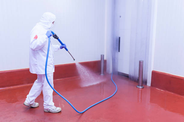 Trusted Bonifay, FL Pressure Washing Experts